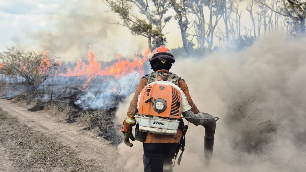 Incêndio atinge matas em MG