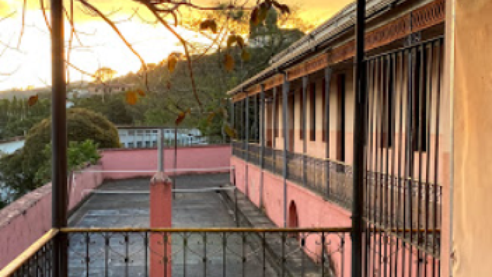 Reprodução: Google