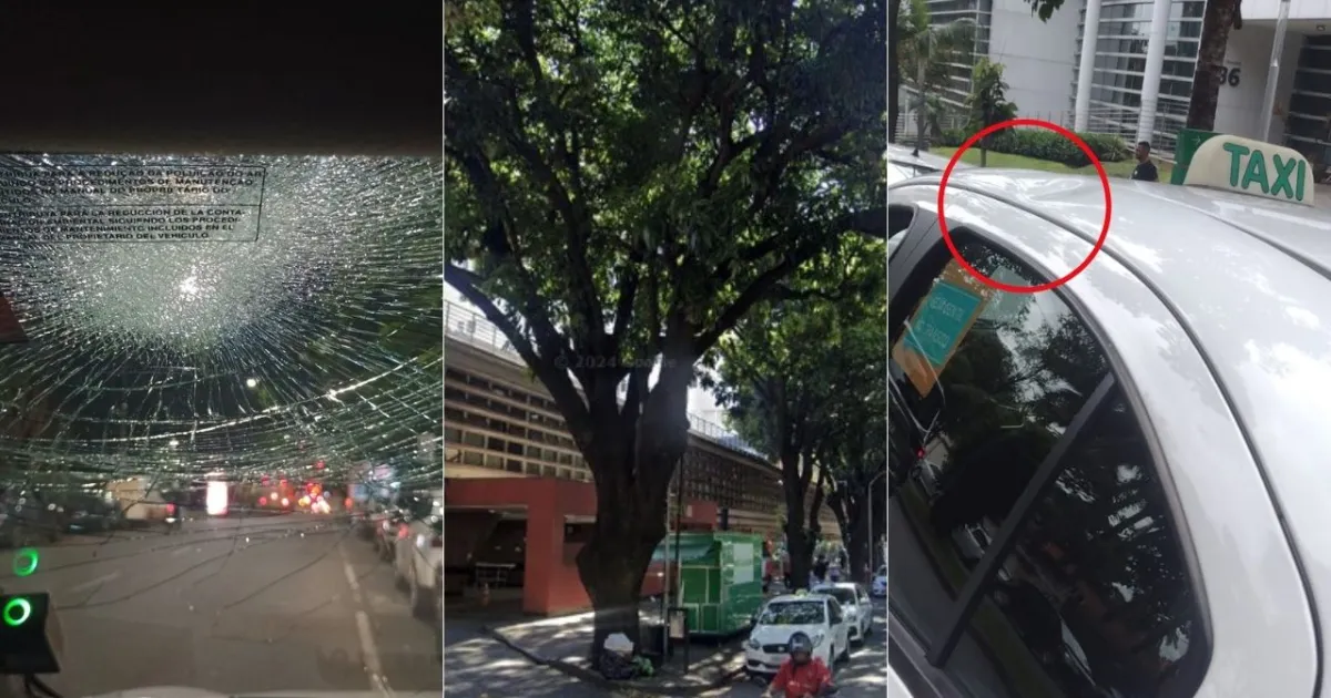 Quantum Computing: A Revolution in Processing Power - memesita.com ...