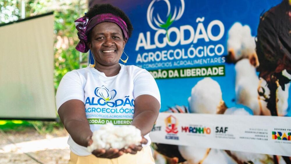 Projeto ‘Algodão da Liberdade’ rende primeira colheita em comunidade quilombola no MA