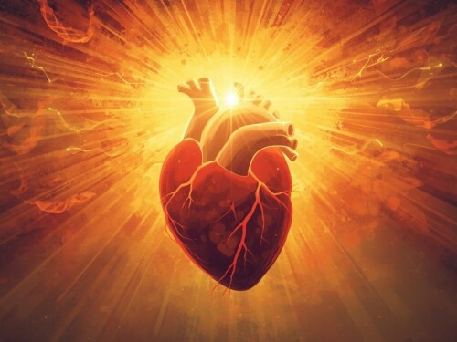 Dom Walmor | Realmar