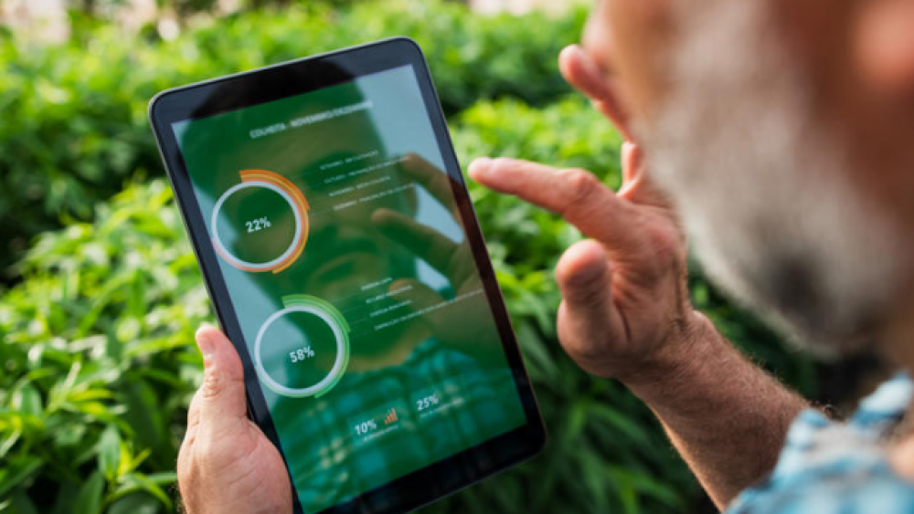 Foto: Andreswd | iStock