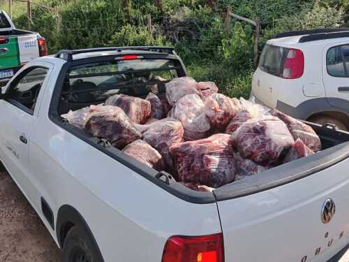 Polícia de Meio Ambiente descobre abate clandestino de cavalos em Campo Belo