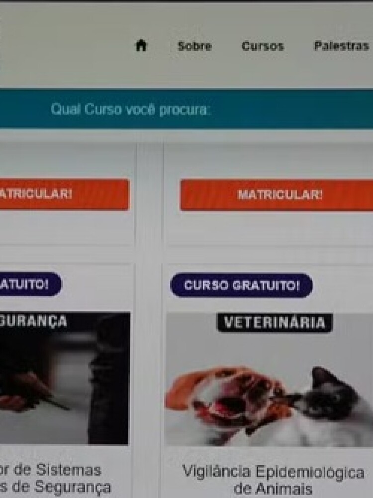 Quatro pessoas são presas em MG pela venda de 50 mil diplomas e carteirinhas falsas.jpeg