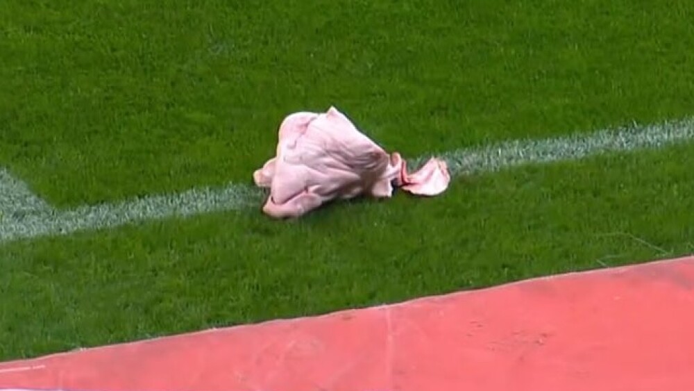 Corinthians x Palmeiras: cabeça de porco foi atirada no gramado da Neo Química Arena