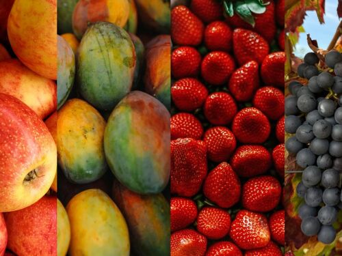 França barra frutas da América do Sul por uso de agrotóxicos proibidos na UE